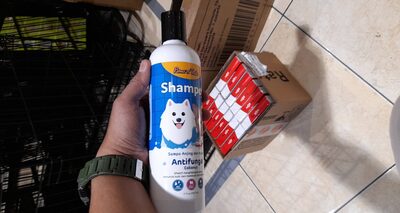 pet shampo anti fungal