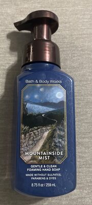 Mountainside Mist