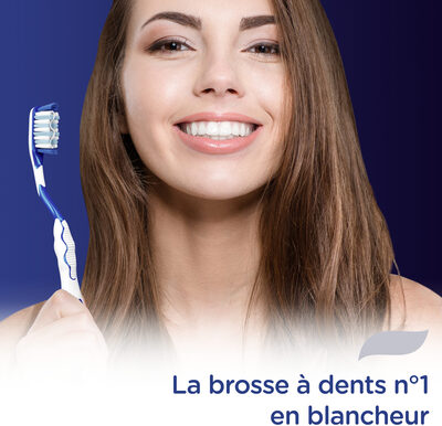 Signal Brosse à Dents Souple Soin Blancheur x1