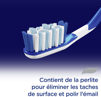 Signal Brosse à Dents Soin Medium Blancheur x1
