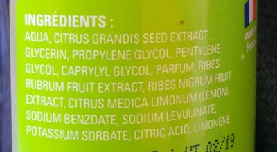 Christian Lenart Eau Fruitee Purifiante - Purifying Fruit Water