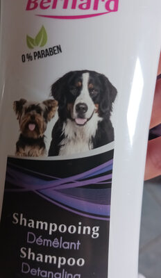 lavage chien