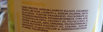 Gel douche surgras