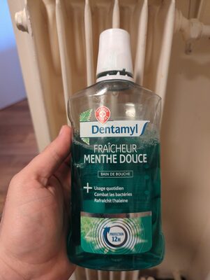 Fraîcheur menthe