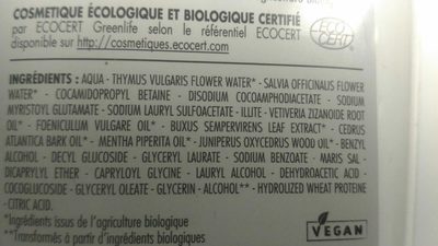 Shampooing spécifique cheveux gras et pellicules