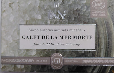 GALET DE LA MER MORTE