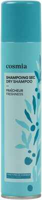 Shampoing sec