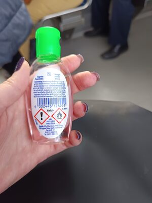 Sagrotan Desinfektion Handgel To Go Kamille & Lotus