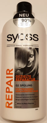 Repair gezielte Reparatur 02 Spülung