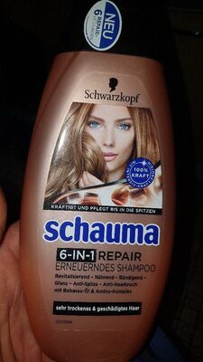 Schauma 6in1 Repair