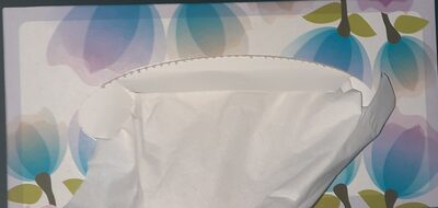 tissue