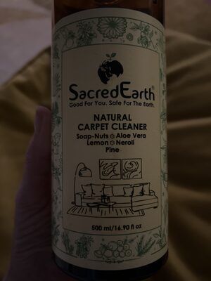 Carpet Cleaner