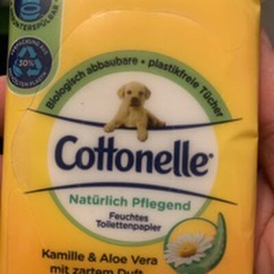 feuchtes Toilettenpapier