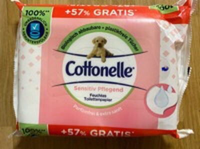 feuchtes Toilettenpapier