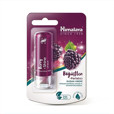 Himalaya Böğürtlen Dudak Bakım Kremi