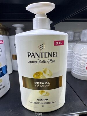 Champú